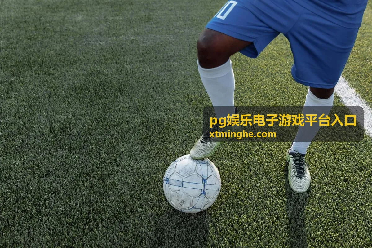 pg娱乐电子游戏平台入口游戏策略教程配图展示示意图