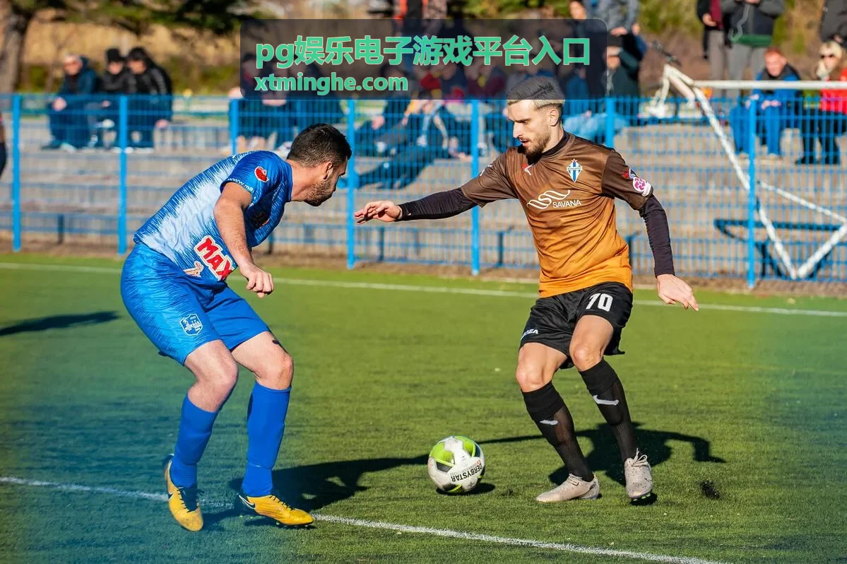 pg娱乐电子游戏平台入口玩法教程展示配图，包含游戏技巧要点